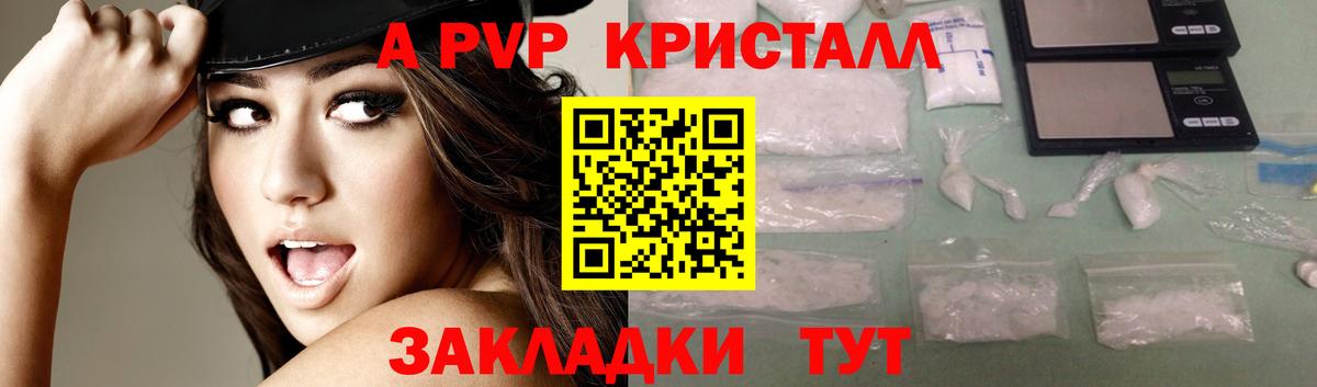 Alfa_PVP СК КРИС  А ПВП  Салехард  Альфа ПВП СК КРИС  A PVP Соль  Вход с VPN 