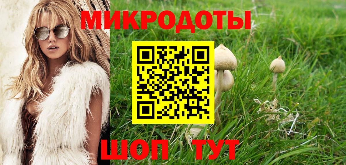 Галлюциногенные грибы Psilocybe  Вход с VPN  Салехард 